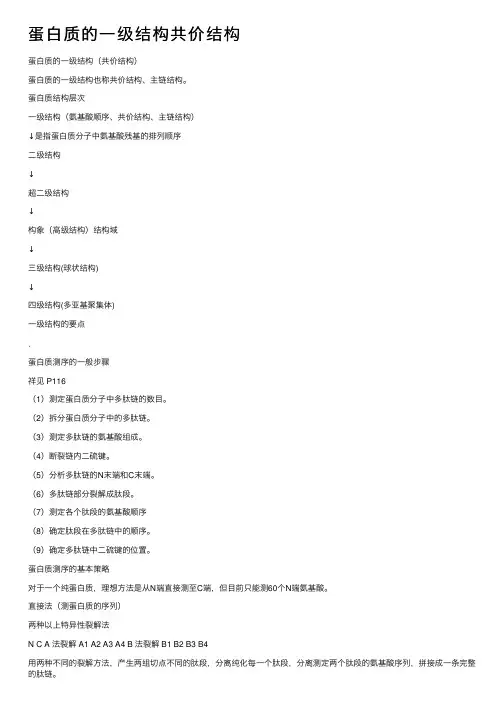 蛋白质的一级结构共价结构