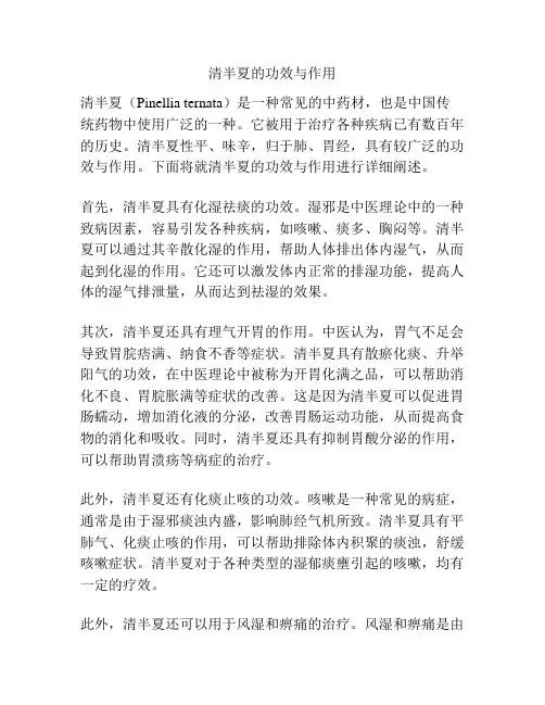 清半夏的功效与作用