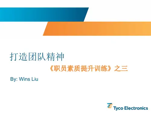 如何快速打造精英团队精神(PPT31页)