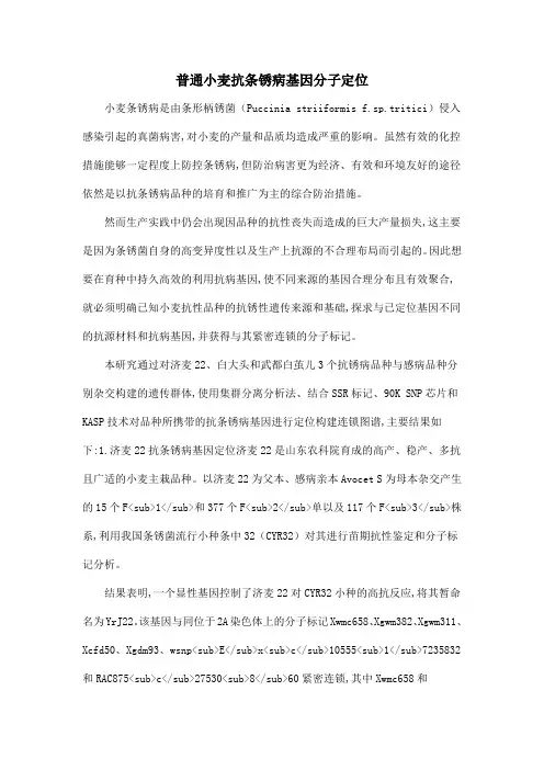 普通小麦抗条锈病基因分子定位