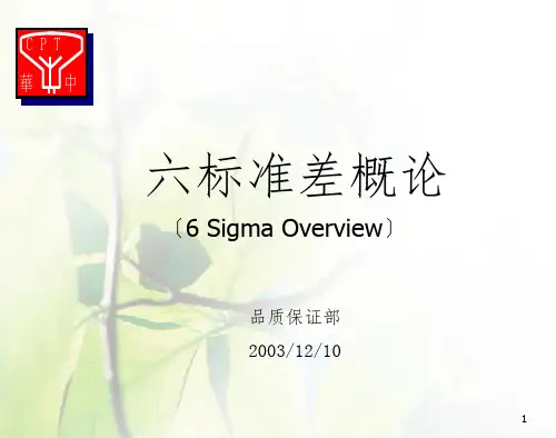 6SIGMA概论(PPT 58页)