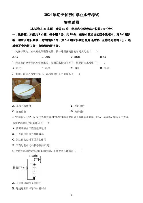 2024年辽宁省中考物理试题(含答案解析)