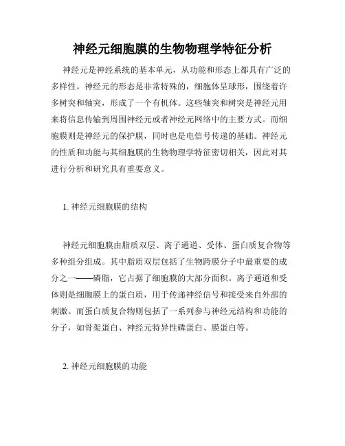 神经元细胞膜的生物物理学特征分析