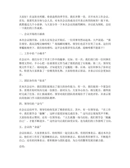 领导搞笑开会总结发言稿