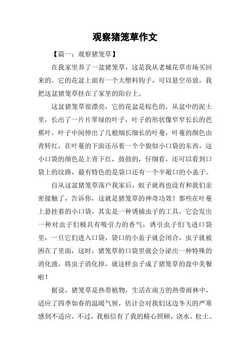 观察猪笼草作文