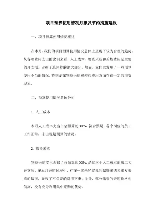 项目预算使用情况月报及节约措施建议