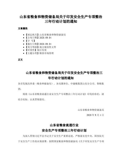 山东省粮食和物资储备局关于印发安全生产专项整治三年行动计划的通知