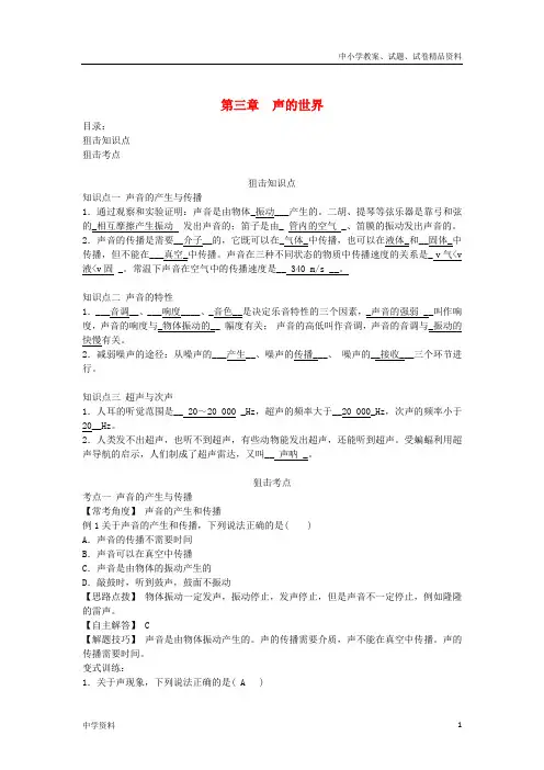 中考物理总复习第三章声的世界