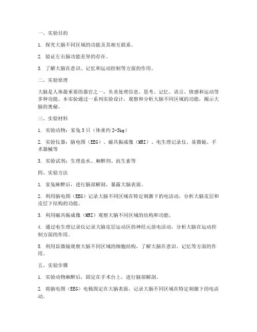 大脑的功能实验报告