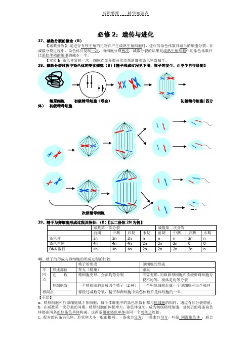 广东高中学业水平测试生物知识点归纳及历年真题(必修二)