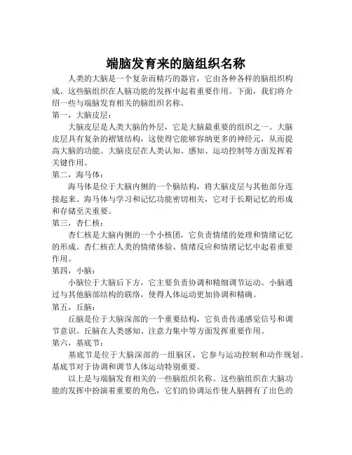 端脑发育来的脑组织名称