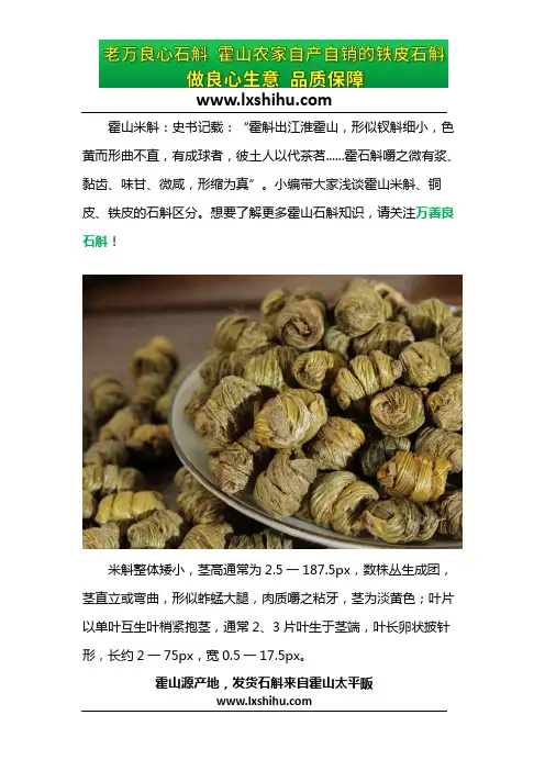 霍山石斛和霍山米斛有什么区别