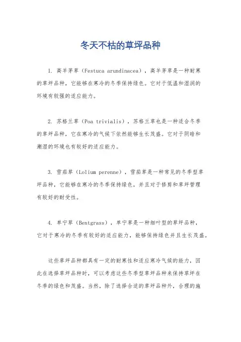 冬天不枯的草坪品种