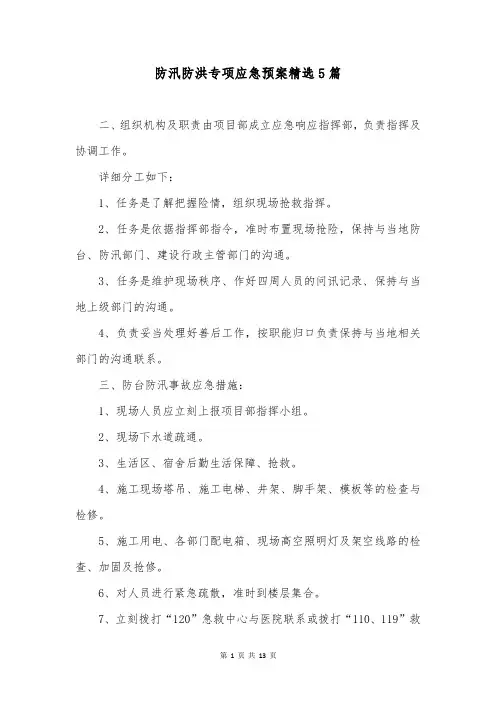 防汛防洪专项应急预案精选5篇