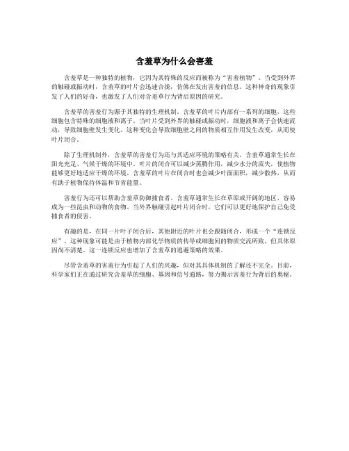 含羞草为什么会害羞