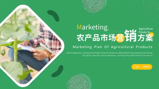 绿色商务农产品营销方案PPT模板