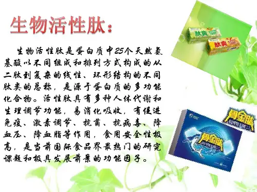 PPT 生物活性肽