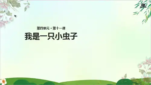 (部编版教材)二年级下册《我是一只小虫子》PPT精讲课件