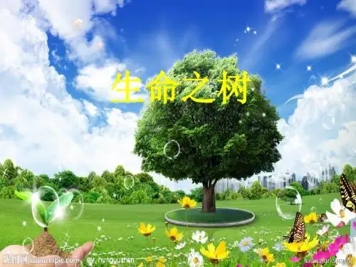 生命之树