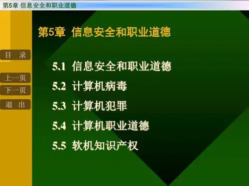 第五章  信息安全和职业道德-精品文档