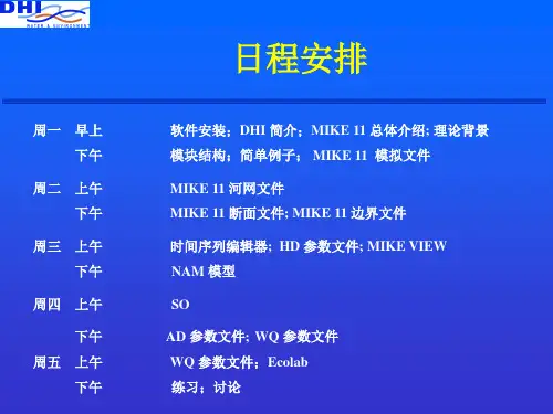 MIKE培训资料解读