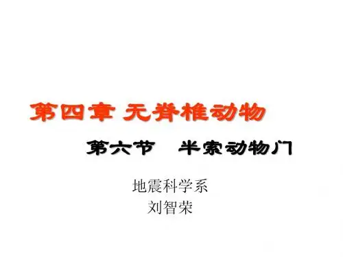 第四章6 无脊椎动物——半索动物门