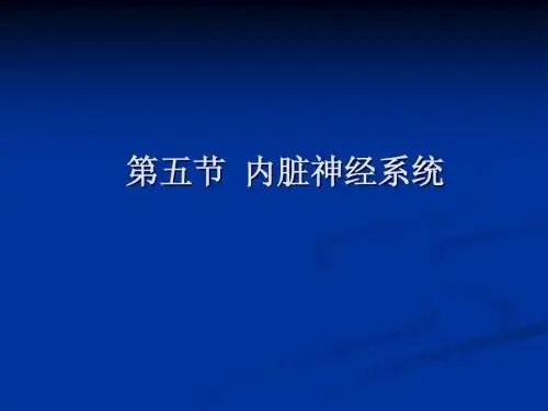 内脏神经(研究生课程)