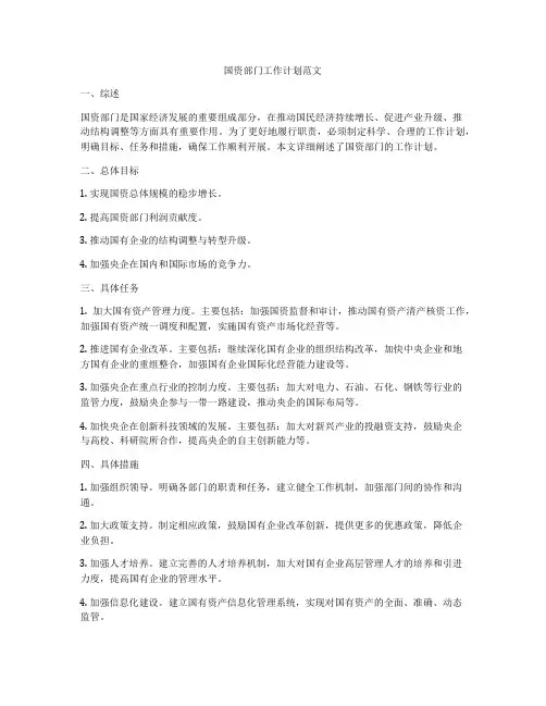 国资部门工作计划范文
