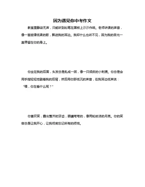 因为遇见你中考作文