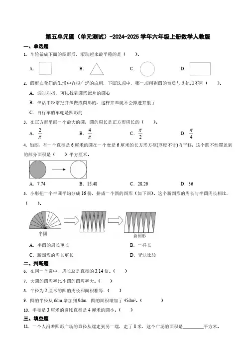 第五单元圆单元测试-2024-2025学年六年级上册数学人教版(含答案)