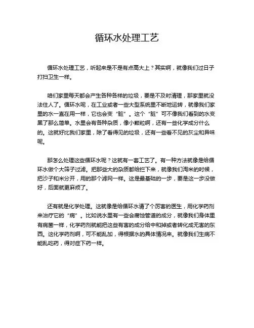 循环水处理工艺