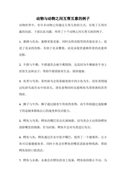 动物与动物之间互帮互惠的例子