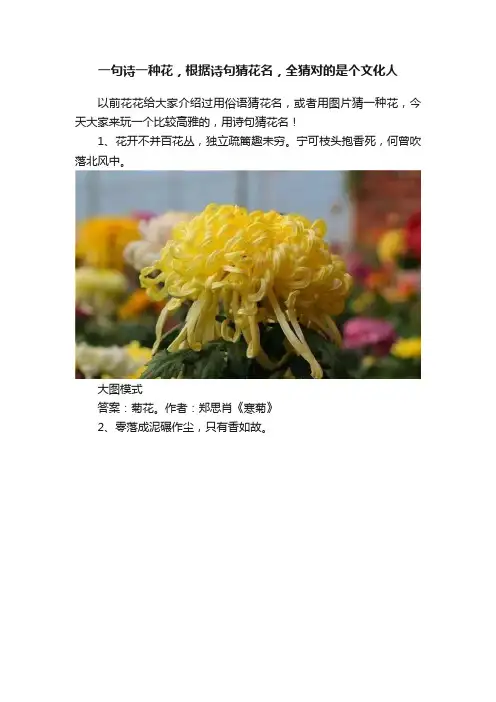 一句诗一种花，根据诗句猜花名，全猜对的是个文化人