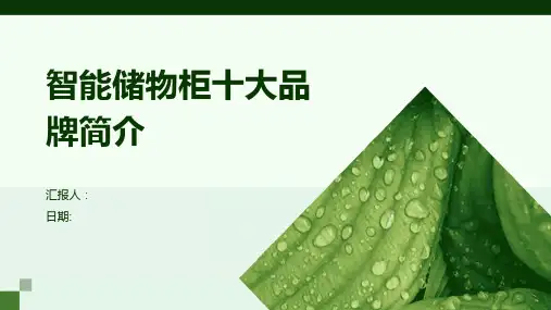 智能储物柜十大品牌简介