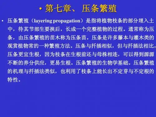 第七章压条繁殖  北京林业大学 苗圃学课件