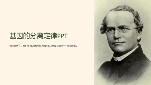 基因的分离定律PPT