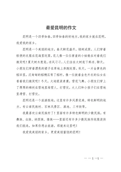 最爱昆明的作文
