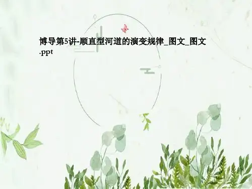 博导第5讲-顺直型河道的演变规律_图文_图文