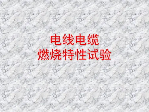 电线电缆燃烧特性试验 共21页