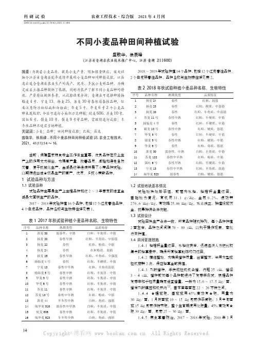 不同小麦品种田间种植试验