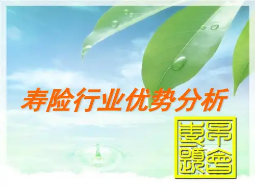 寿险行业优势分析报告ppt