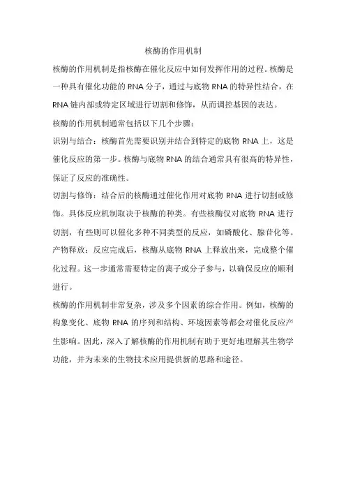 核酶的作用机制