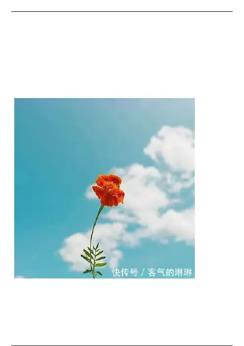 适合发朋友圈的正能量短句，句句励志有骨气！