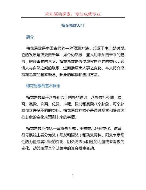 梅花易数入门