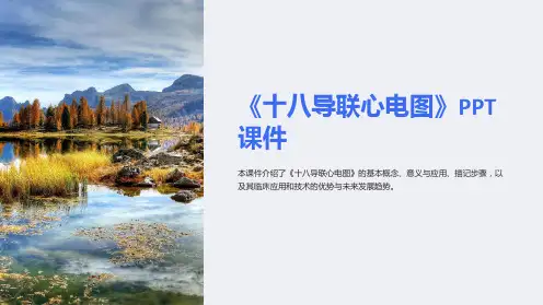 《十八导联心电图》课件