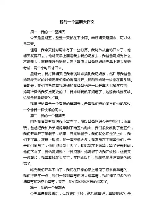 我的一个星期天作文5篇