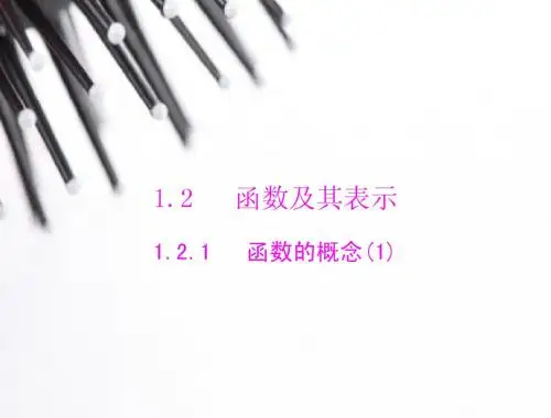 2014年新课标人教A版必修1数学1.2.1函数的概念(1)随堂优化训练课件
