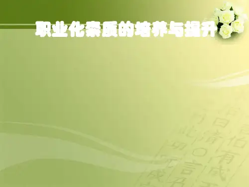 职业化培训资料(ppt38张)
