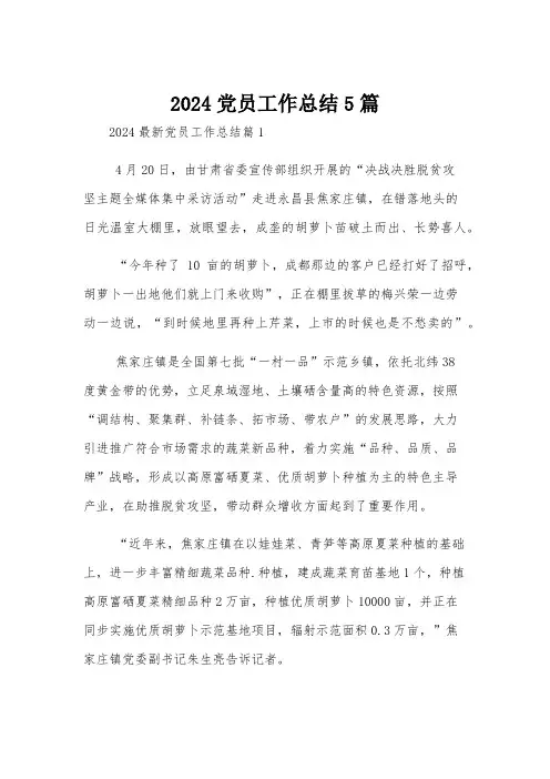 2024党员工作总结5篇