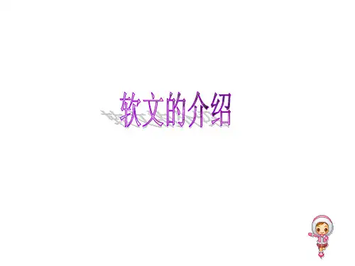 软文介绍 PPT课件